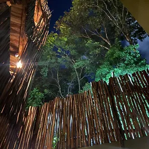 https://loba-tulum.allrivieramayahotels.com